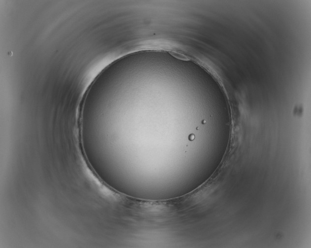 X0000111441103200907131259