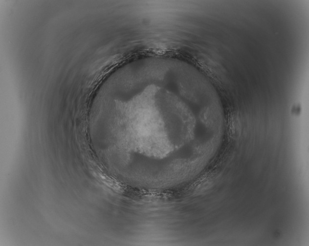 X0000111441105200907131258