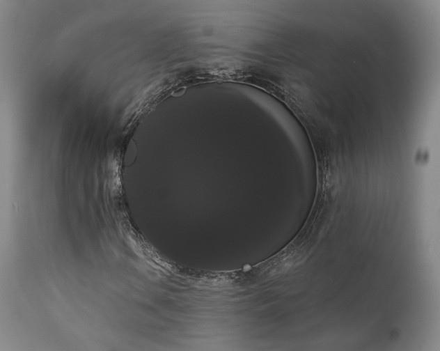 X0000111441106200907131258