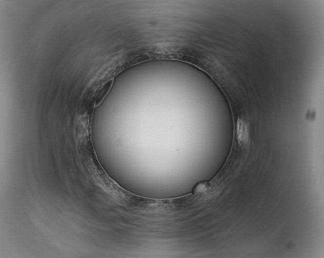 X0000111441107200907131258
