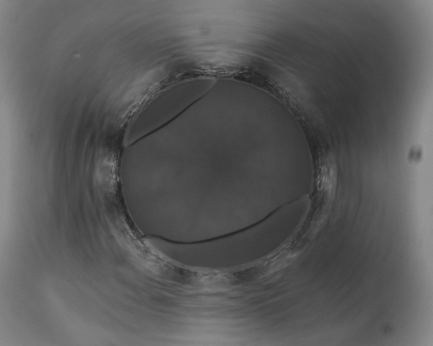 X0000111441108200907131259