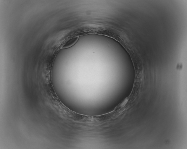X0000111441109200907131259