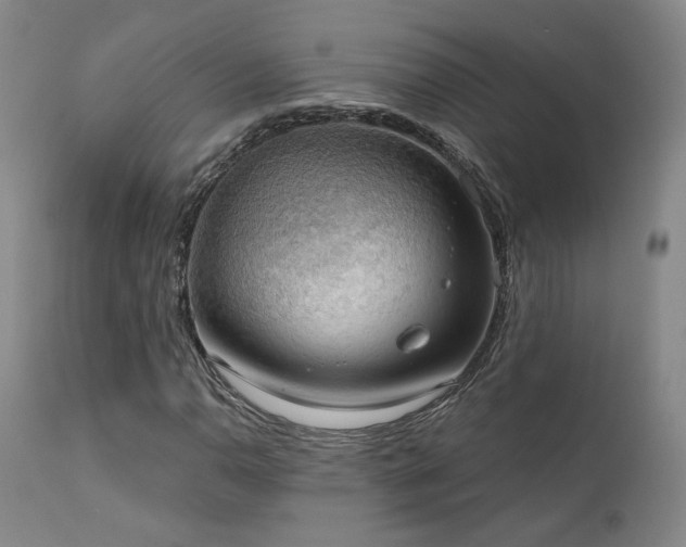 X0000111441110200907131259