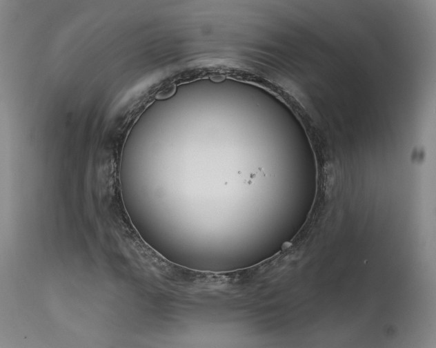 X0000111441111200907131259