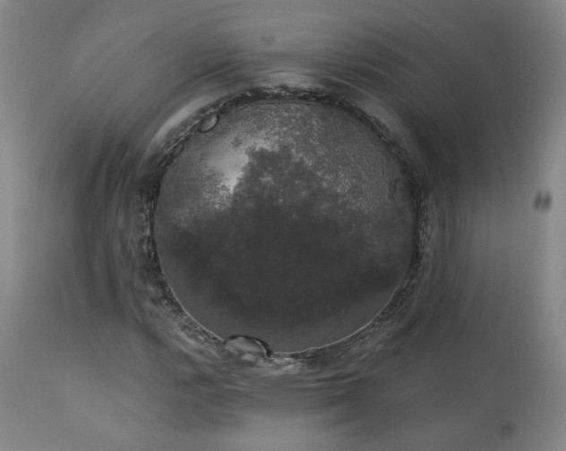 X0000111441112200907131259