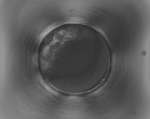 X0000111441114200907131259