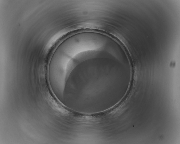 X0000111441115200907131259