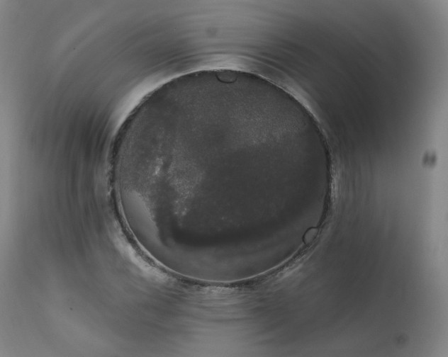 X0000111441116200907131259