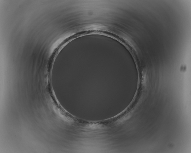 X0000111441117200907131259