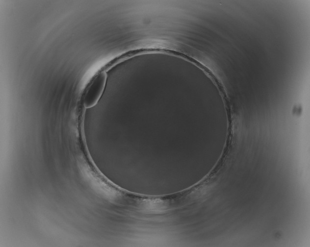 X0000111441120200907131259