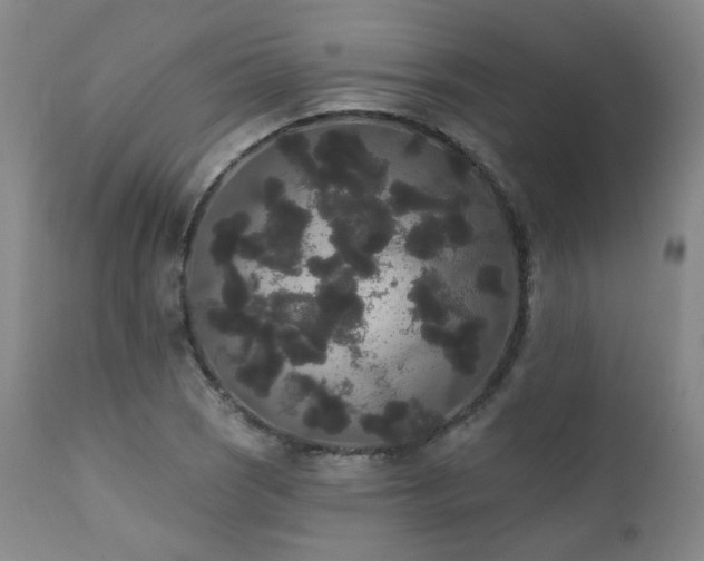 X0000111441121200907131259