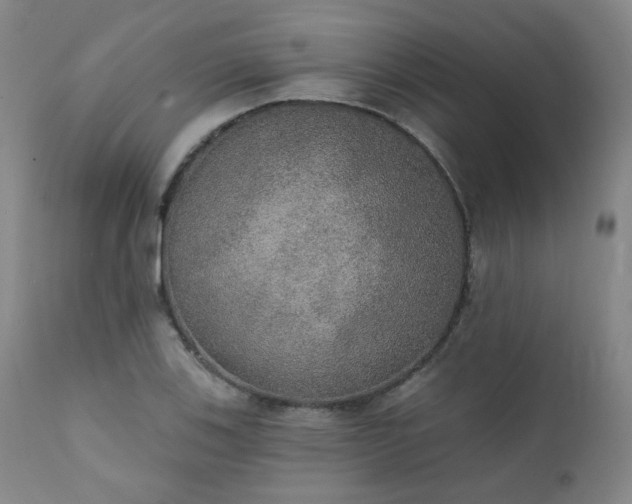 X0000111441123200907131259
