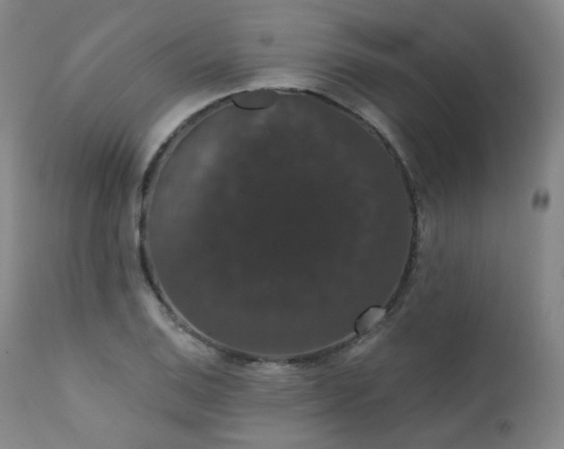 X0000111441124200907131259