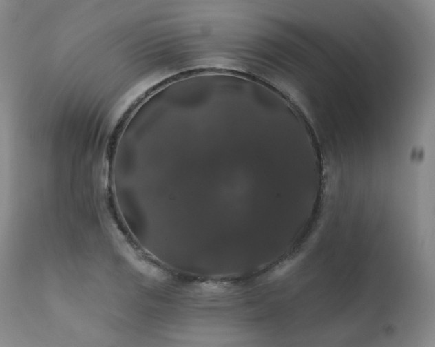X0000111441125200907131259
