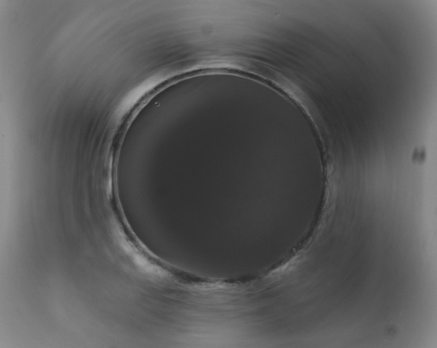 X0000111441127200907131259