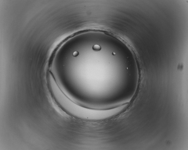 X0000111441128200907131259
