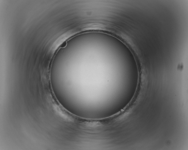 X0000111441129200907131259