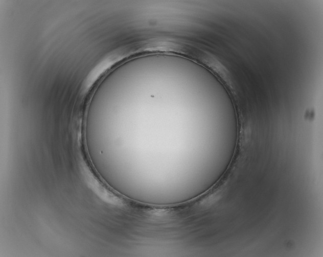 X0000111441130200907131259