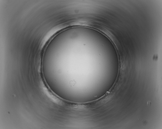 X0000111441131200907131259