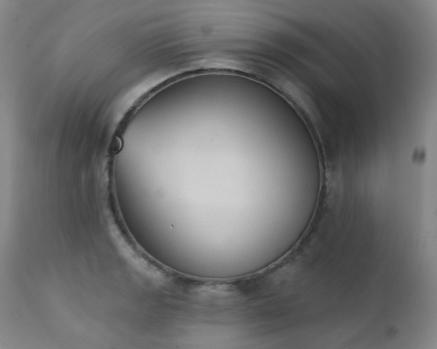 X0000111441133200907131259