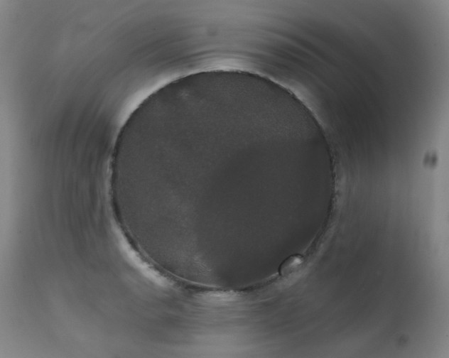 X0000111441134200907131259