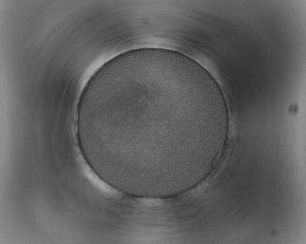 X0000111441136200907131259