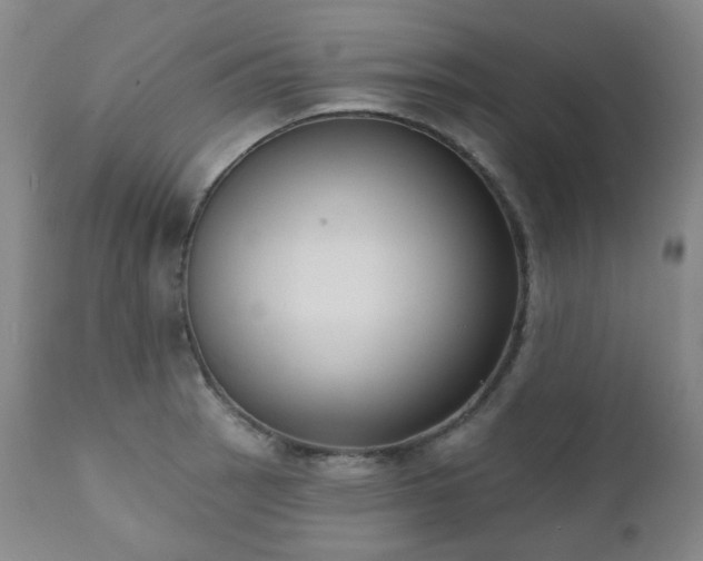 X0000111441137200907131259