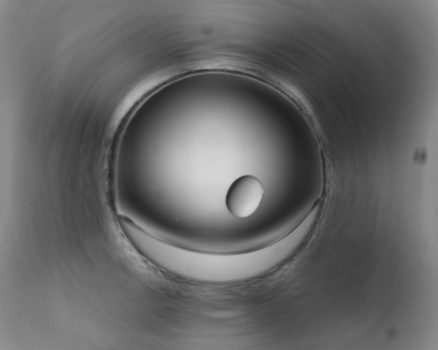 X0000111441138200907131259