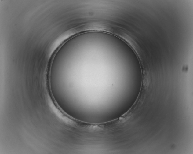 X0000111441139200907131259