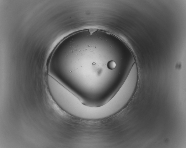 X0000111441140200907131259