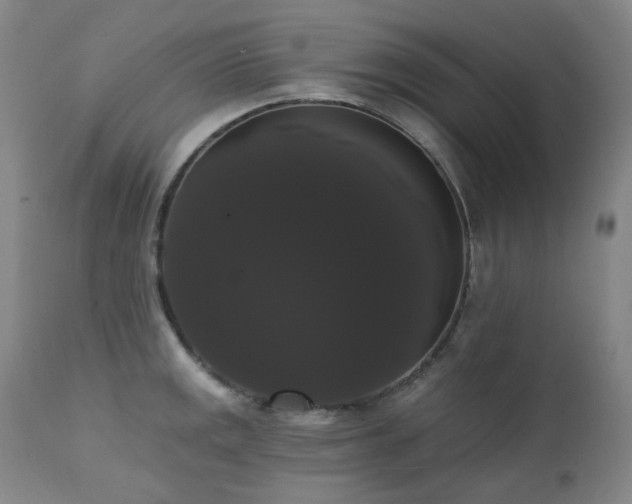 X0000111441141200907131259