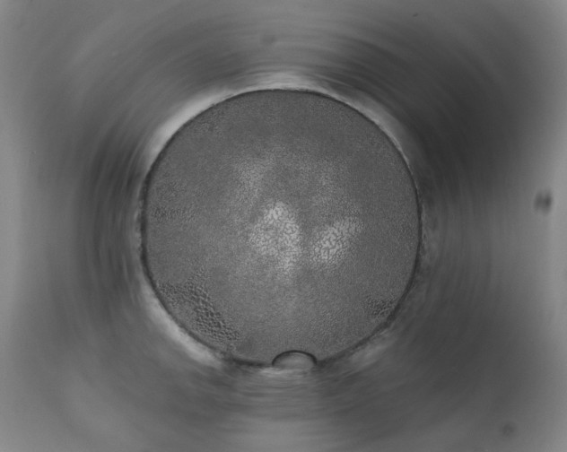 X0000111441142200907131259