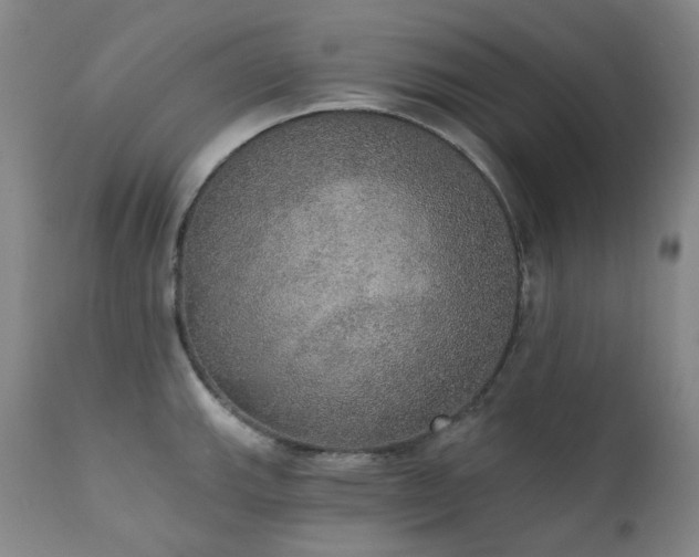 X0000111441143200907131259