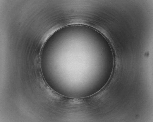 X0000111441145200907131259