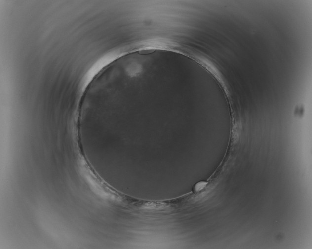 X0000111441146200907131259