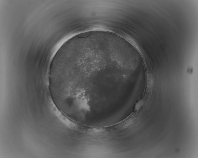 X0000111441148200907131259