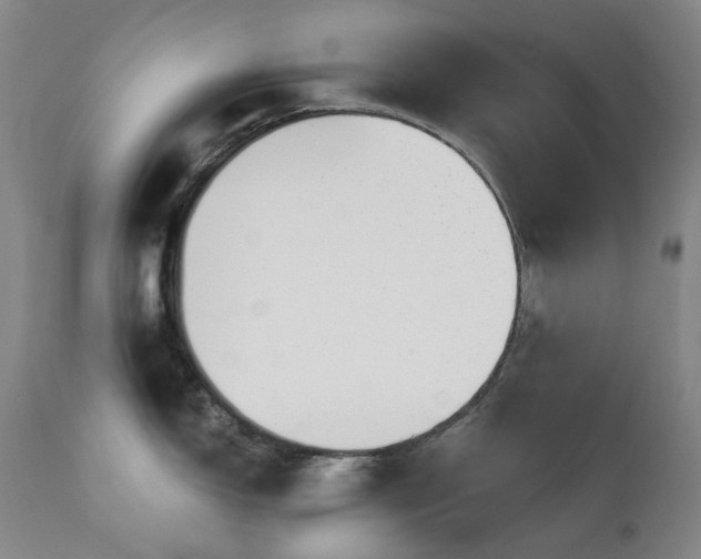 X0000111441150200907131259