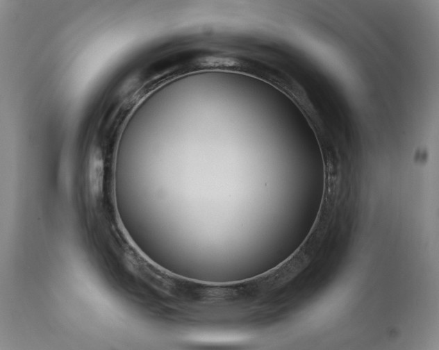 X0000111441151200907131259
