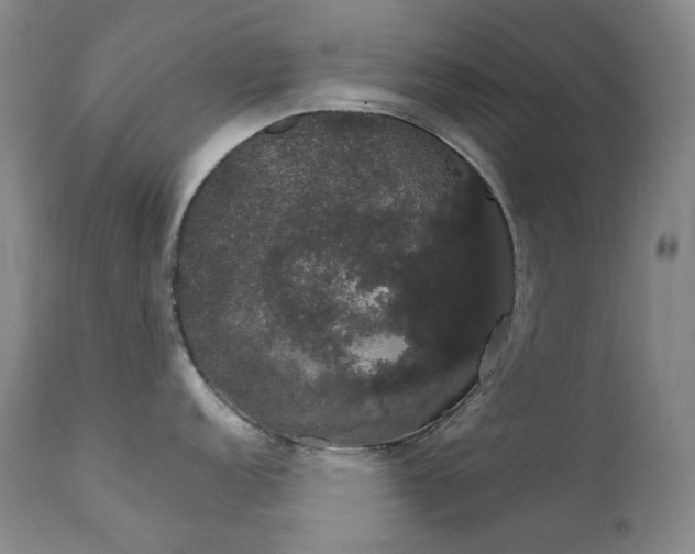 X0000111441152200907131259