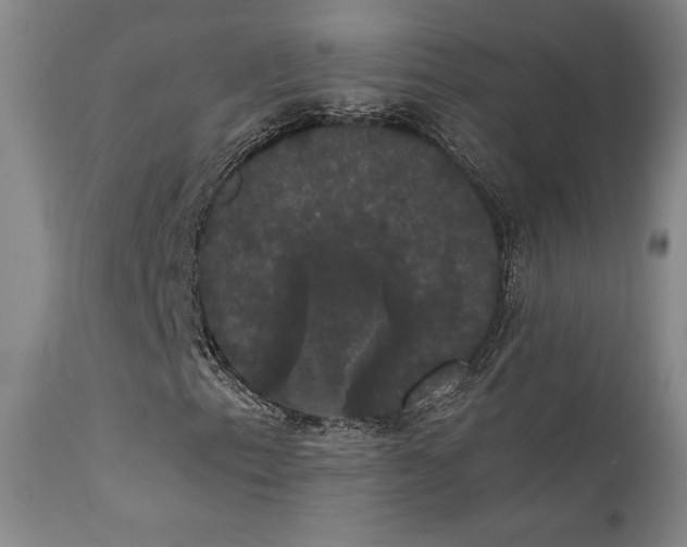 X0000111441153200907131258