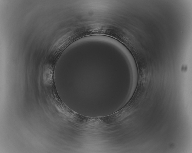 X0000111441154200907131258