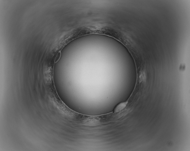 X0000111441156200907131258