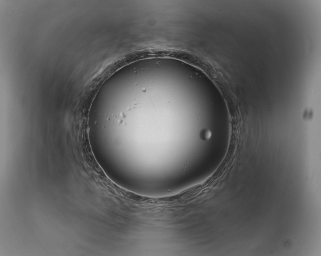 X0000111441157200907131258