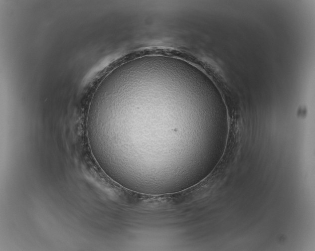 X0000111441159200907131258