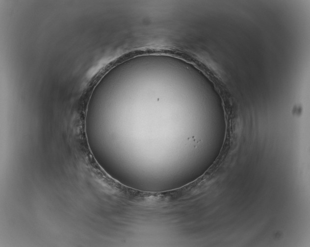 X0000111441160200907131258