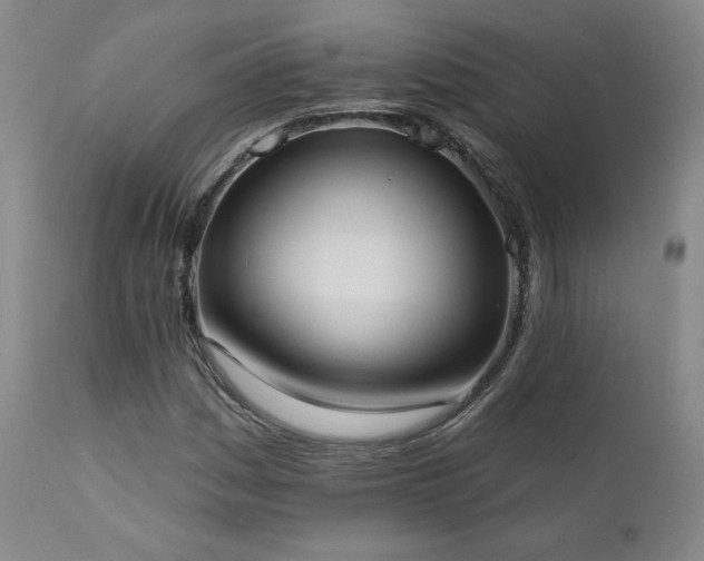 X0000111441161200907131258