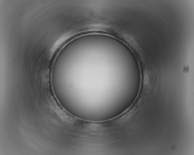 X0000111441164200907131258