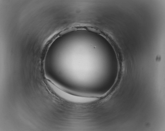 X0000111441165200907131258