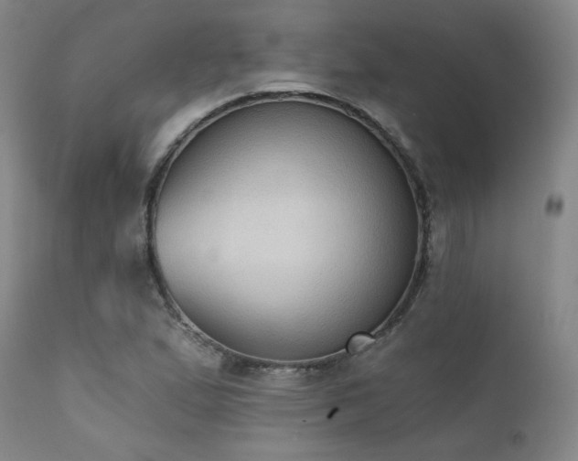 X0000111441167200907131258