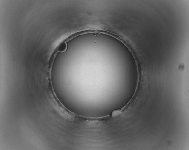 X0000111441168200907131258